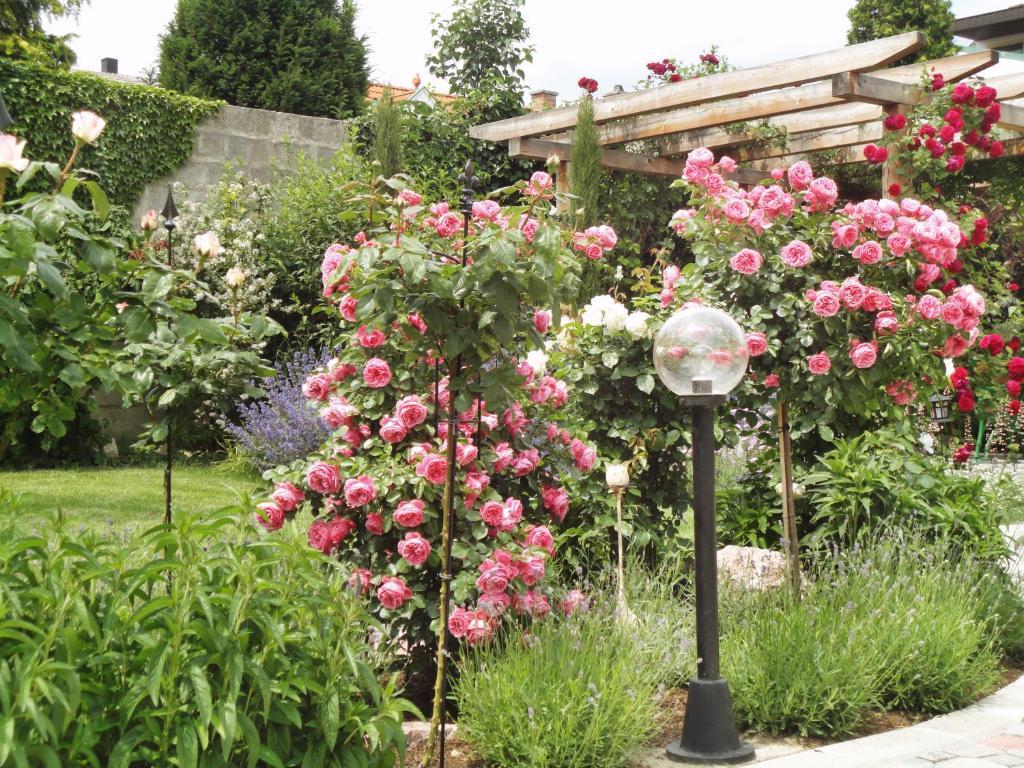 Weingut Sommerhof Moerbisch Am See Ngoại thất bức ảnh